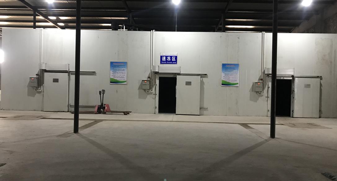 速冻区