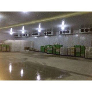 鄂尔多斯冷藏库