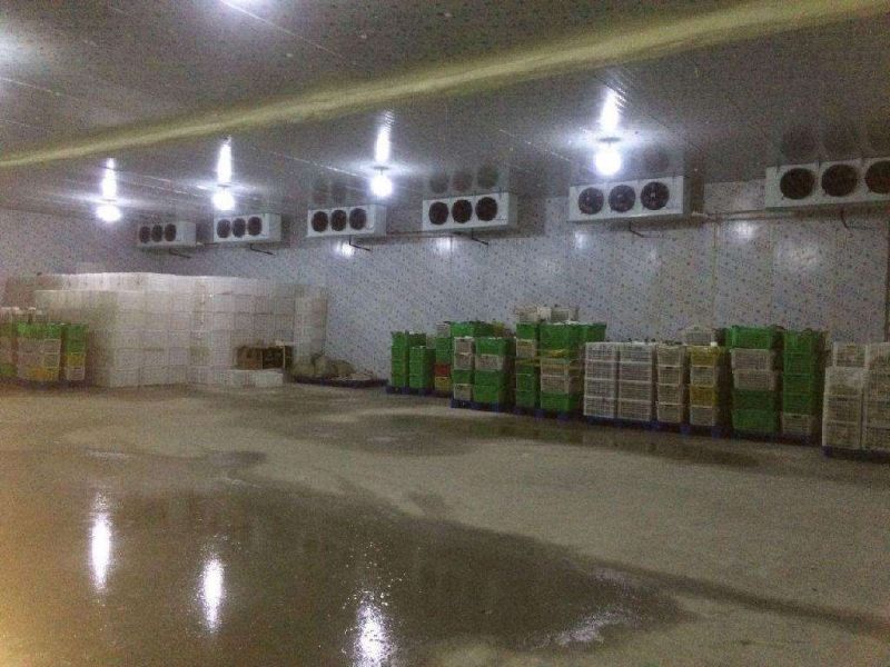 鄂尔多斯冷藏库